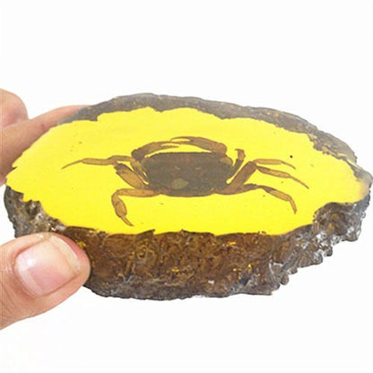 Beautiful Amber Crab Fossil Insects Manual Polishing