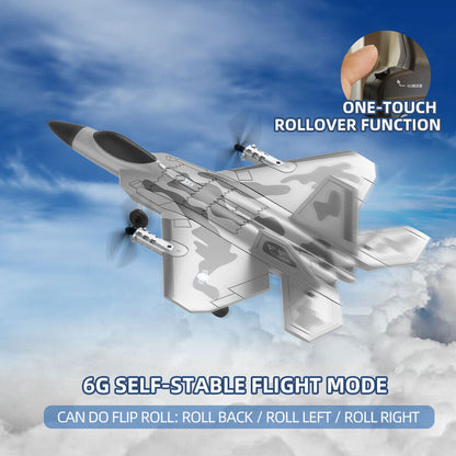 2.4G 4CH BM16 F22 RC Airplanes 6G/Vertical Flight Aerobatic Remote Control Plane