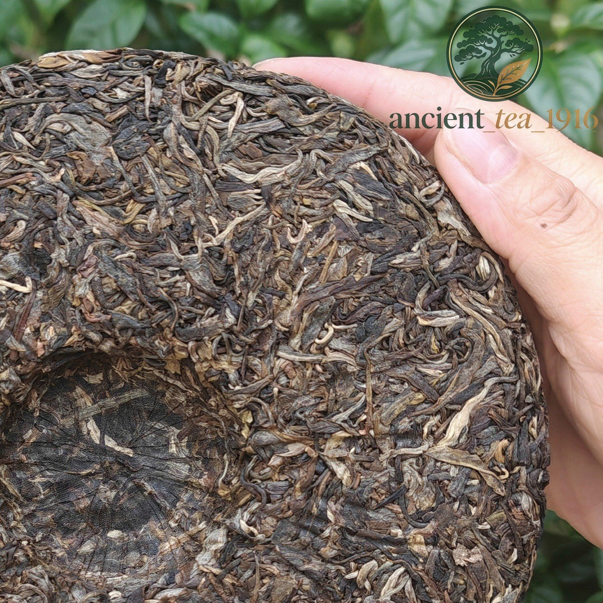 357g 2019 Yunnan Pu'er Tea Raw Tea Cake