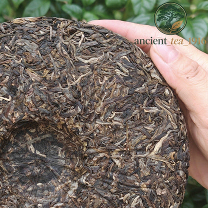 357g 2019 Yunnan Pu'er Tea Raw Tea Cake