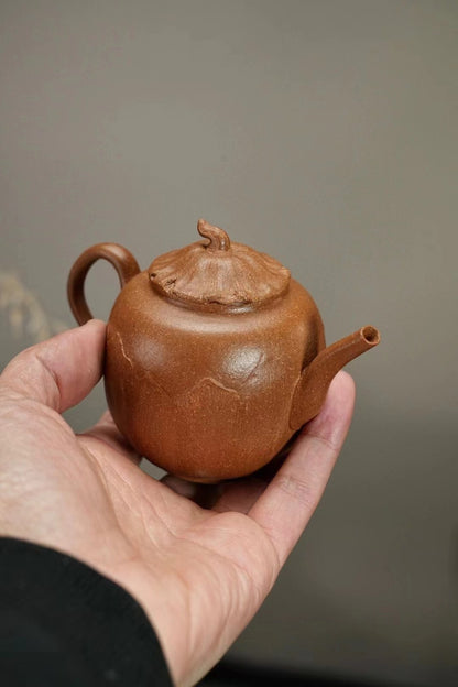 160cc chinese Yixing Handmade Zisha teapot JiangPoNi QingLian Hu Gongfu Tea Pot