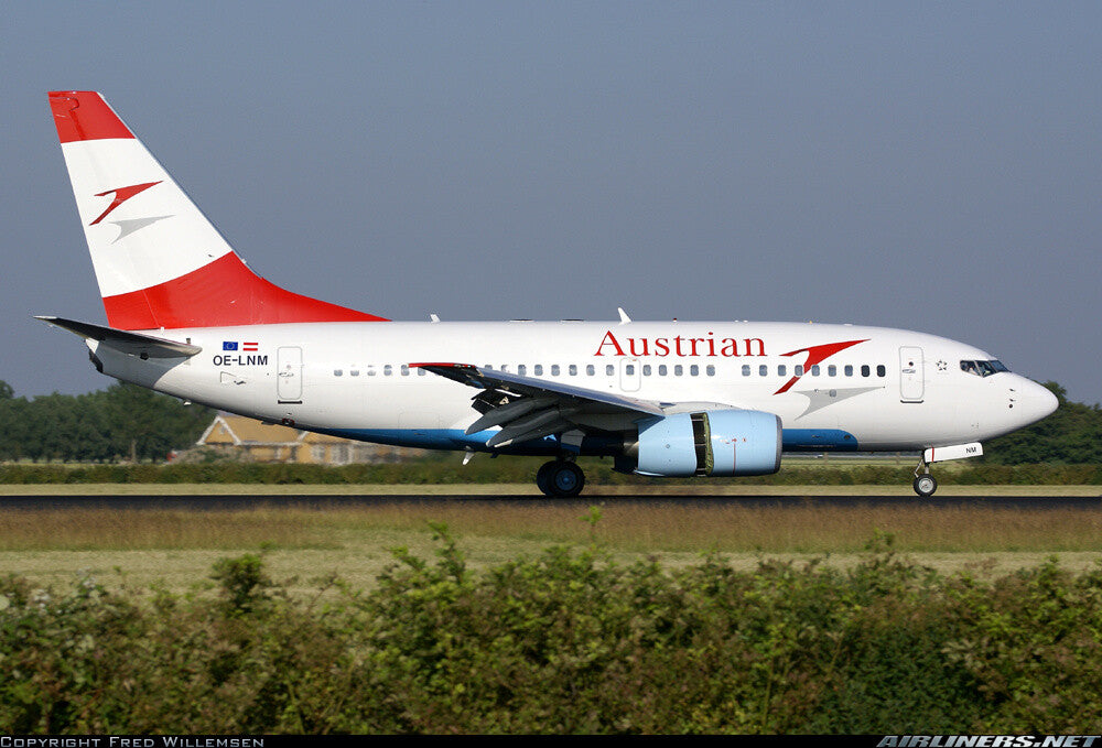 1:400 PandaModel Austrian B737-600 OE-LNM Passenger Airplane Diecast Model