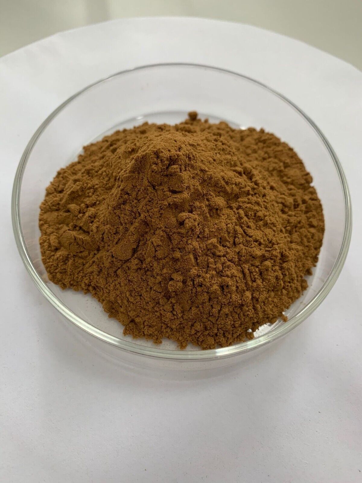 Lion's mane (Hericium erinaceus) mushroom puer extract powder (30:1)