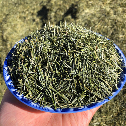 Dried Pine Needle Tea Premium Red Pine Needles Loose Leaf Herbal Tea