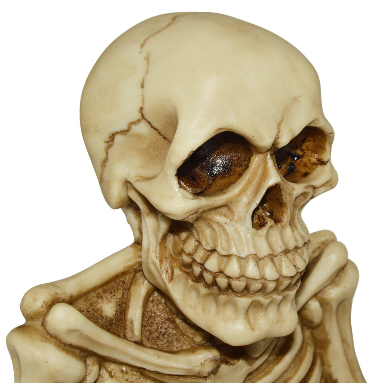 Skeleton Toilet Paper Holder with Keyhole Slot for Wall Mounting, Spooky Skull