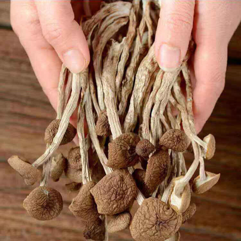 250g/bag New Premium Dried Tree Mushroom Chinese Herbal Agrocybe Cylindracea