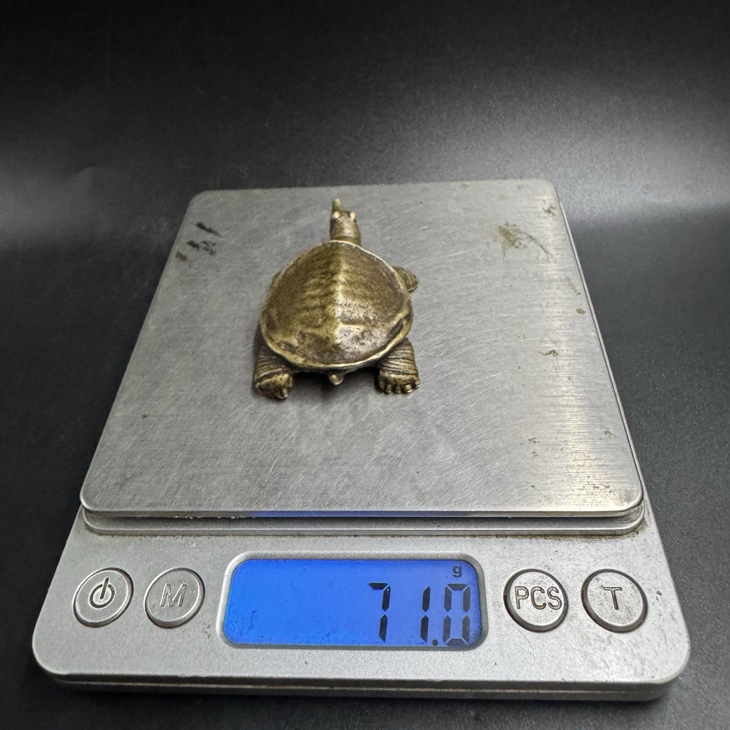Mini Brass Turtle/Softshell Turtle Figurine Chinese Tea Pet Retro Collectible
