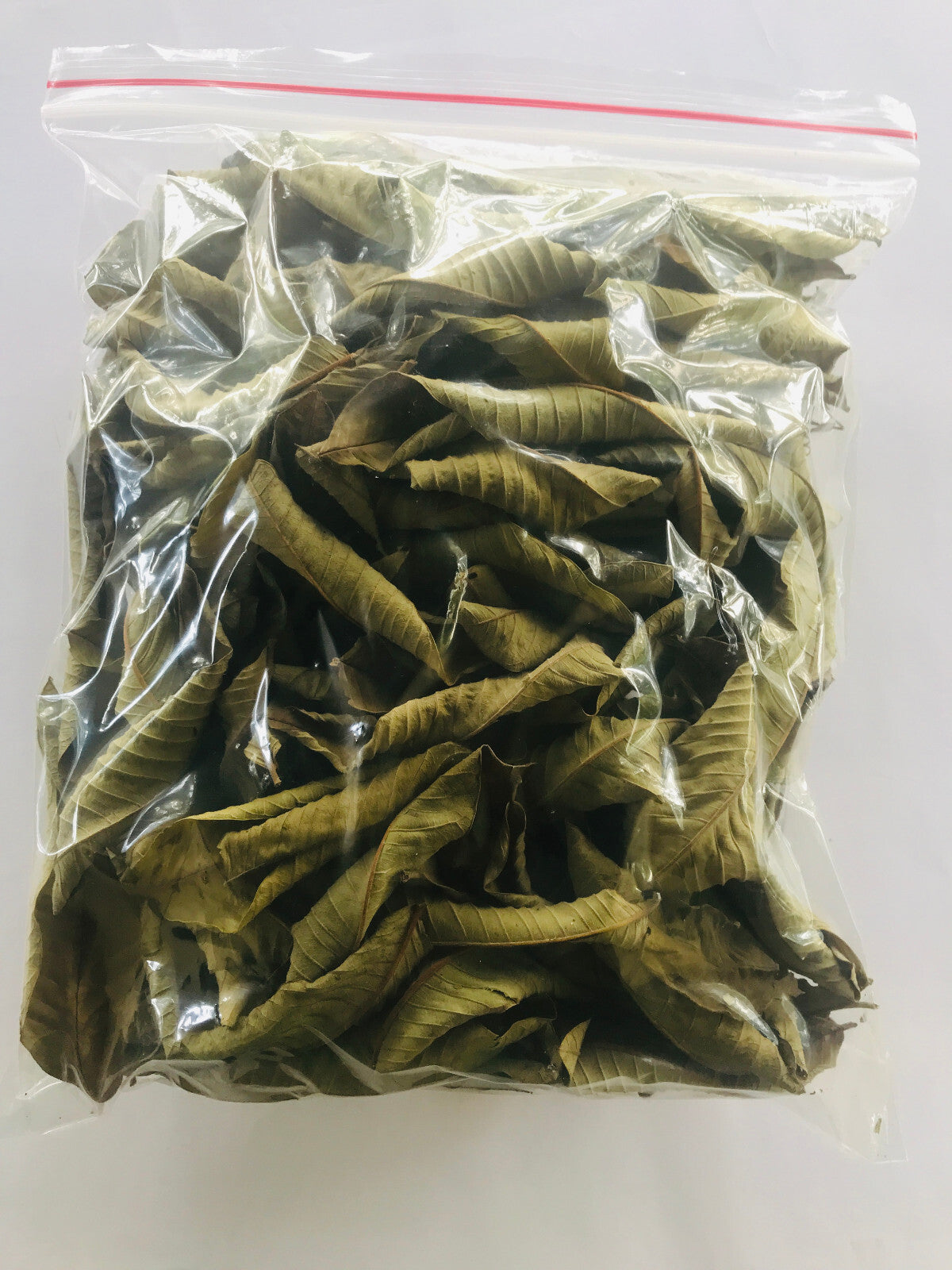 Premium Dried Guava Leaves Hojas De Guayaba 50g to 500g Herbal Tea