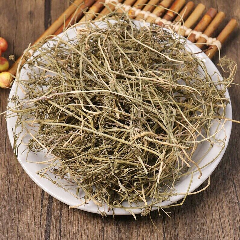 Organic Herbal Chinese Bastardtoadflax Herb Herbal Thesii Great Quality