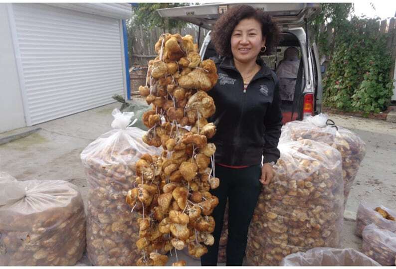 Wild Lion's Mane Mushroom Premium Hericium Erinaceus Very Delicious Top Quality