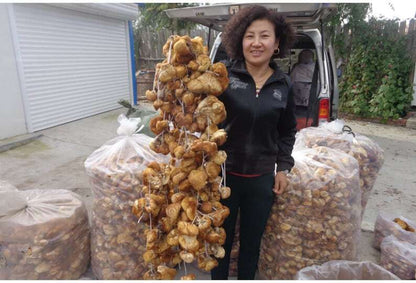 Wild Lion's Mane Mushroom Premium Hericium Erinaceus Very Delicious Top Quality
