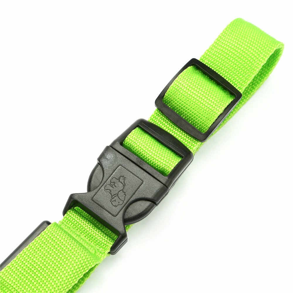 Small Green Light-Up LED Rechargeable Adjustable Pet Collar (Flashing or Steady)