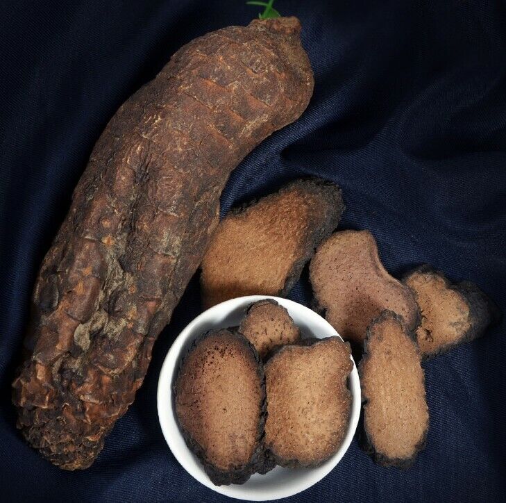 Natural Sinkiang Wild Desertliving Cistanche Herb Tonic Rou Song Rong slice
