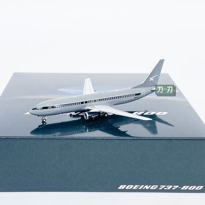 1:400 Panda SpaceX BOEING 737-800 Passenger Airplane Diecast Aircraft Model