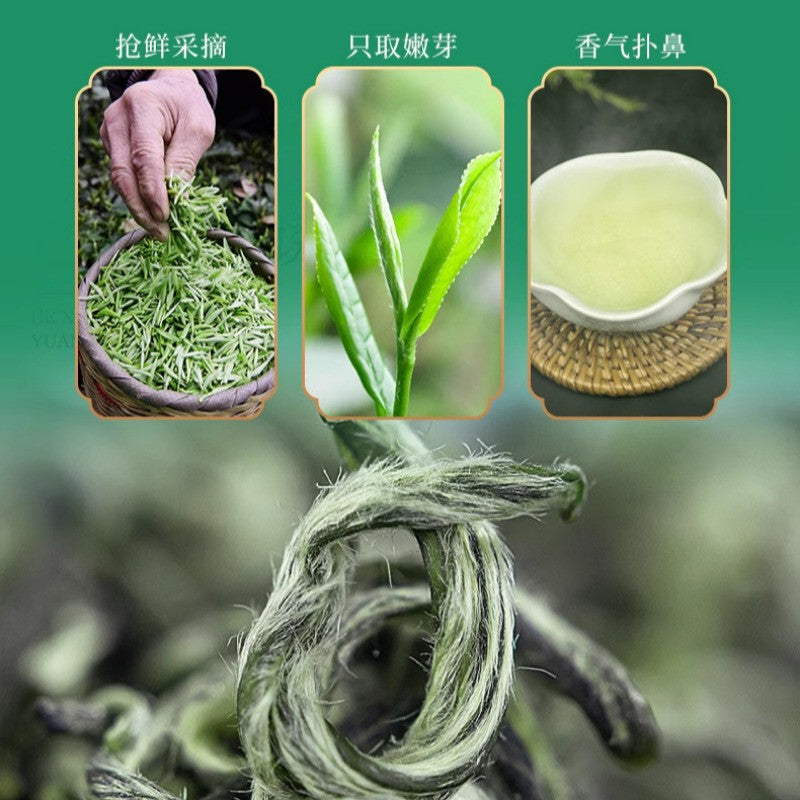 Duyun Maojian Tea 2025 New Tea Spring Tea Strong Aroma Type Green Tea 500g