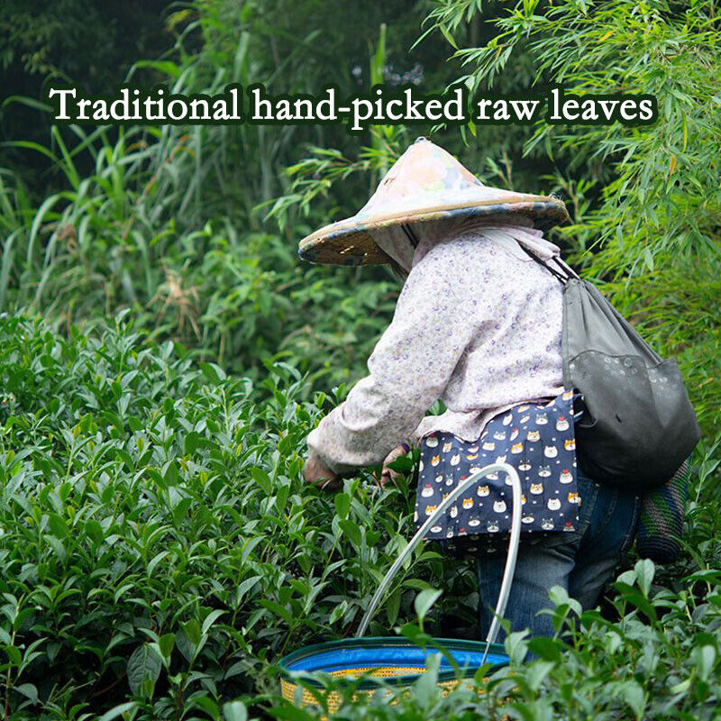Milk Oolong Tea Original Good Tea Natural Organic Oolong Tea Without Additives