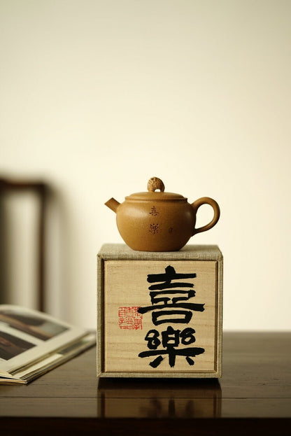 170cc chinese Yixing Handmade Zisha teapot Duan Clay XiLe Gongfu Hu Tea Pot