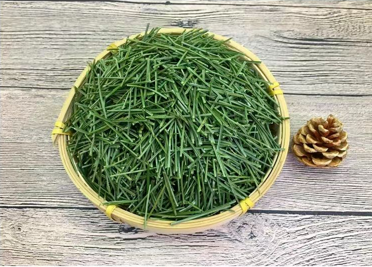 250g Pine Needle Tea Herb Medicine Healthy Anti-Aging Super Food