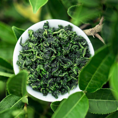 250g Special Health Care Oolong Tea Anxi Tieguan Yin Oolong Tea Famous Chinese