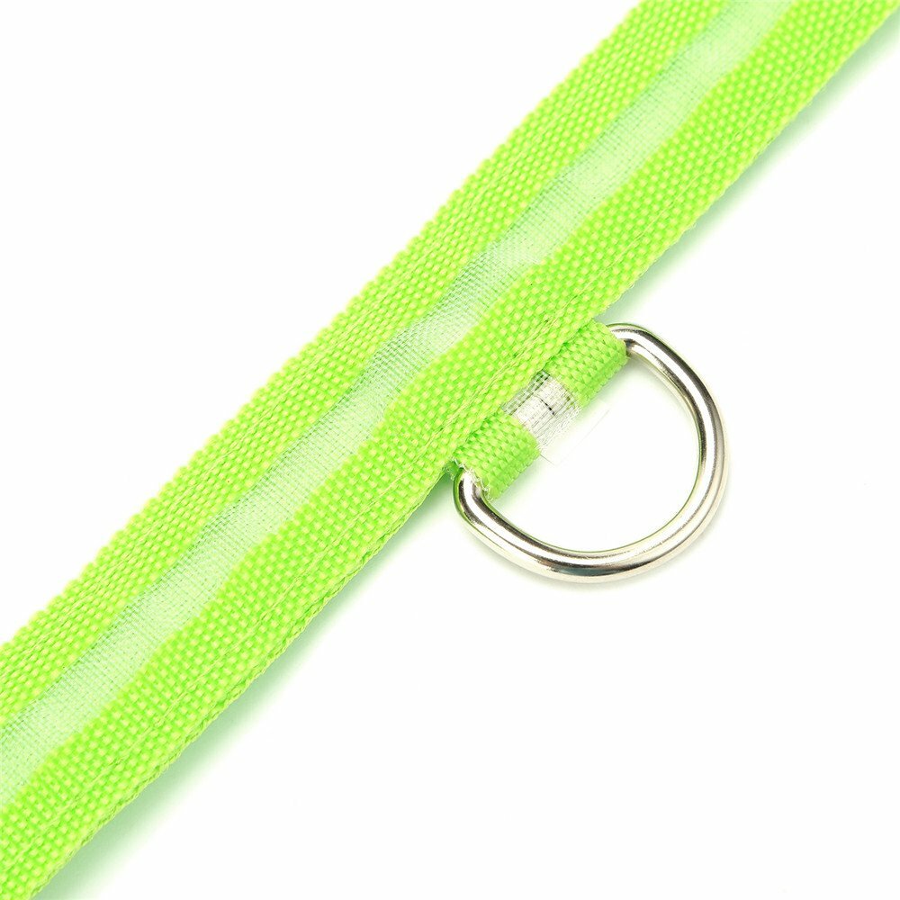 Small Green Light-Up LED Rechargeable Adjustable Pet Collar (Flashing or Steady)