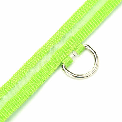 Small Green Light-Up LED Rechargeable Adjustable Pet Collar (Flashing or Steady)