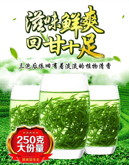 China Xinyang Maojian Tea High Quality Xin Yang Tea Mao Jian Green Tea 250g Tin