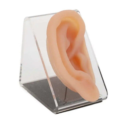 Ear Model Silicon Simulated Piercing Acupuncture Practice Tool W/ Display Stands