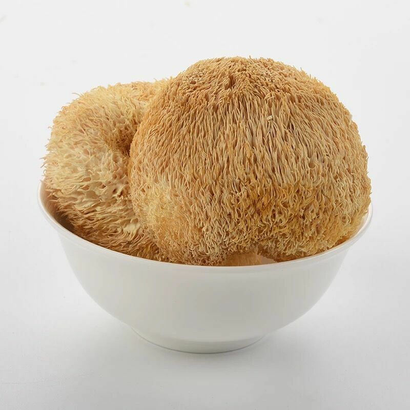 Houtougu China Herbal Health Care Organic Hericium Erinaceus Original Dried 250g
