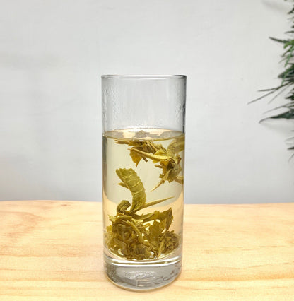 Premium Natural Jasmine Pearl Tea Jasmine Dragon Balls GREEN TEA