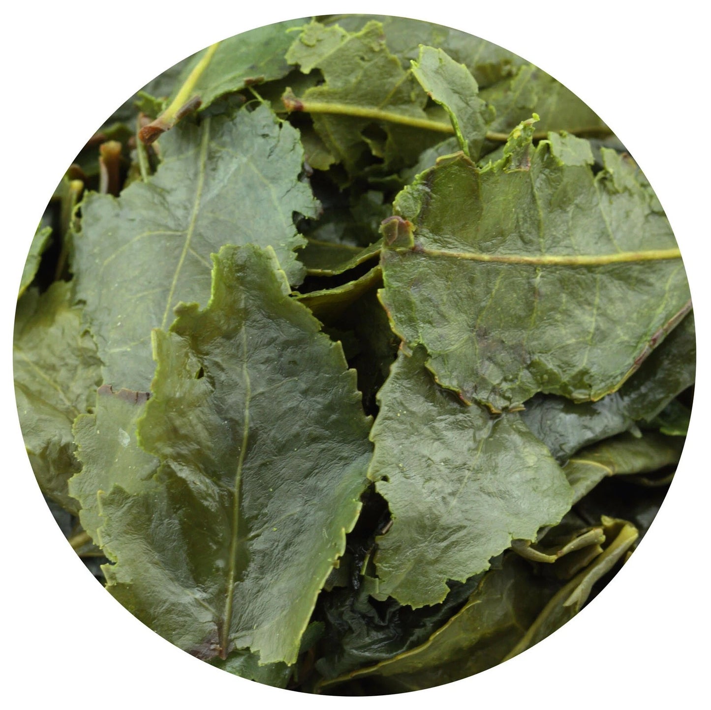 500g Supreme Tie Guan Yin Oolong Tea Fujian Anxi High Mountain Iron Goddess
