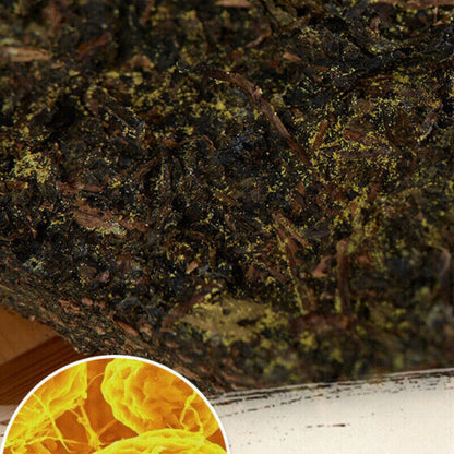 300g Hunan Fu Tea Fucha Special Made Yiyang Anhua Dark Tea Hei Cha Fu Brick Tea