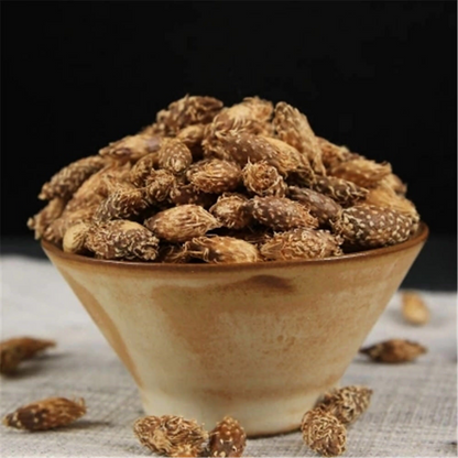 Chinese Herbal 250g 100% Pure Cang Er Zi Powder Fructus Xanthii Powder 苍耳子