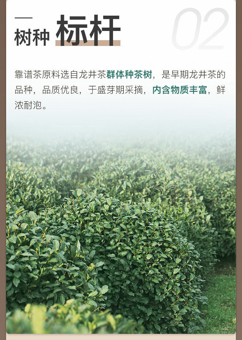 EFUTON Dragon Well Longjing Green Loose Tea Chinese GREEN TEA Long Jing 250g