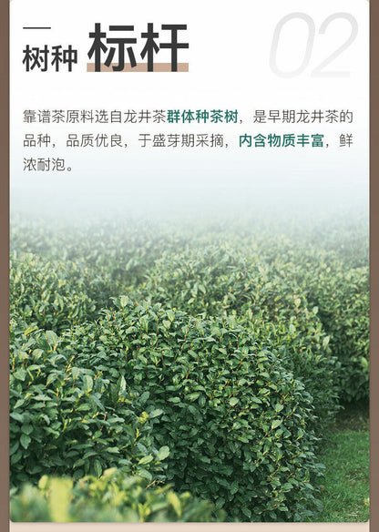 EFUTON Dragon Well Longjing Green Loose Tea Chinese GREEN TEA Long Jing 250g