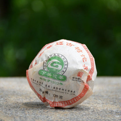 HelloYoung Raw Pu'er Tea 100g Jingmai Ancient Tree Aged Tuocha for Brewing