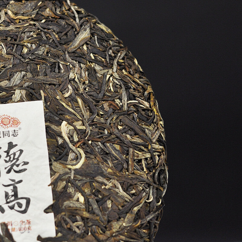 LaoTongZhi 2018 Haiwan Raw Puer De Gao Wang Zhong Tea Old Comrade 400g Shen Puer