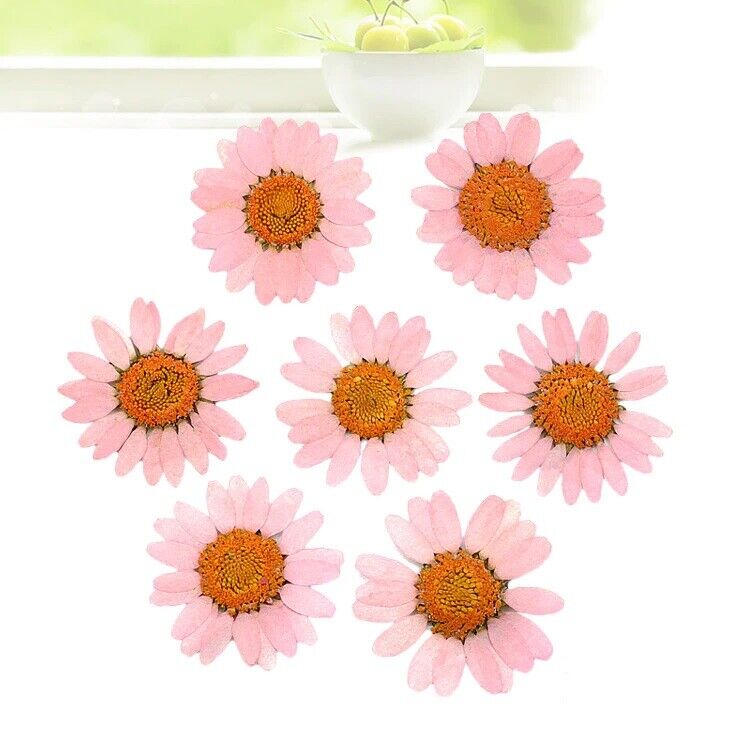 Dried Flowers Pressed Dry Daisy Epoxy Resin Jewelry Making Materials 120Pcs/Lot