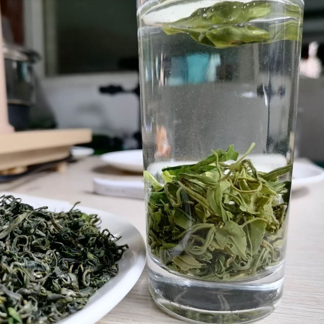 Chinese Guizhou Du Yun Mao Jian Spring Tea Fishhook Maojian Green Tea 250g