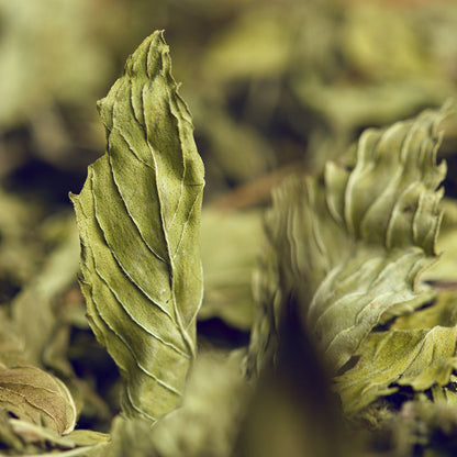 Mint Leaf Herbal Tea 25g Dried Mint Leaf Tea Fresh Mint Tea Edible Herbal Tea