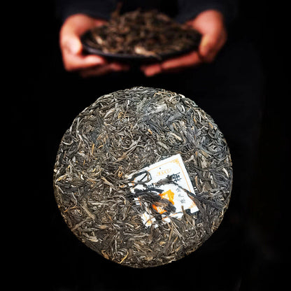 Kunming Pure Dry Storage Lao Banzhang Ancient Tea Pu'er Tea Raw Tea 357/12.59oz