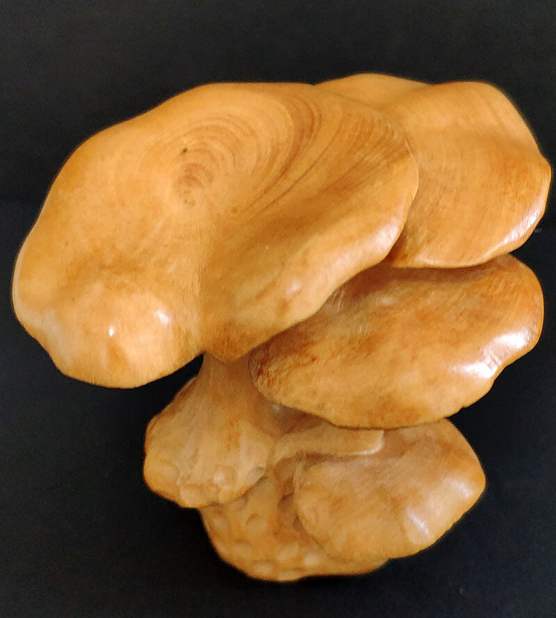 Chinese wood Hand Carved Boxwood Netsuke - Beautiful Mushroom hand piece gift