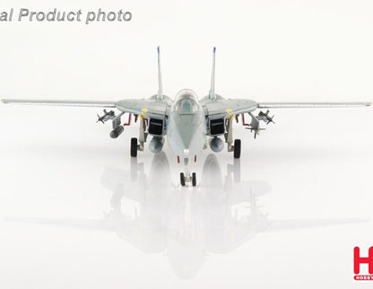 1:72 HM Grumman F-14B Tomcat "OEF" VF-143 "Pukin Dogs"2002 Fighter Diecast Model