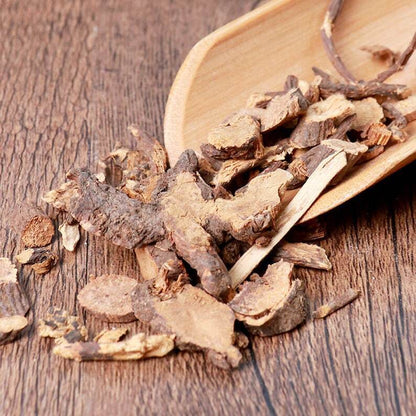 Herbal Garden Burnet Root Radix Sanguisorbae Sanguisorba Officinalis Diyu