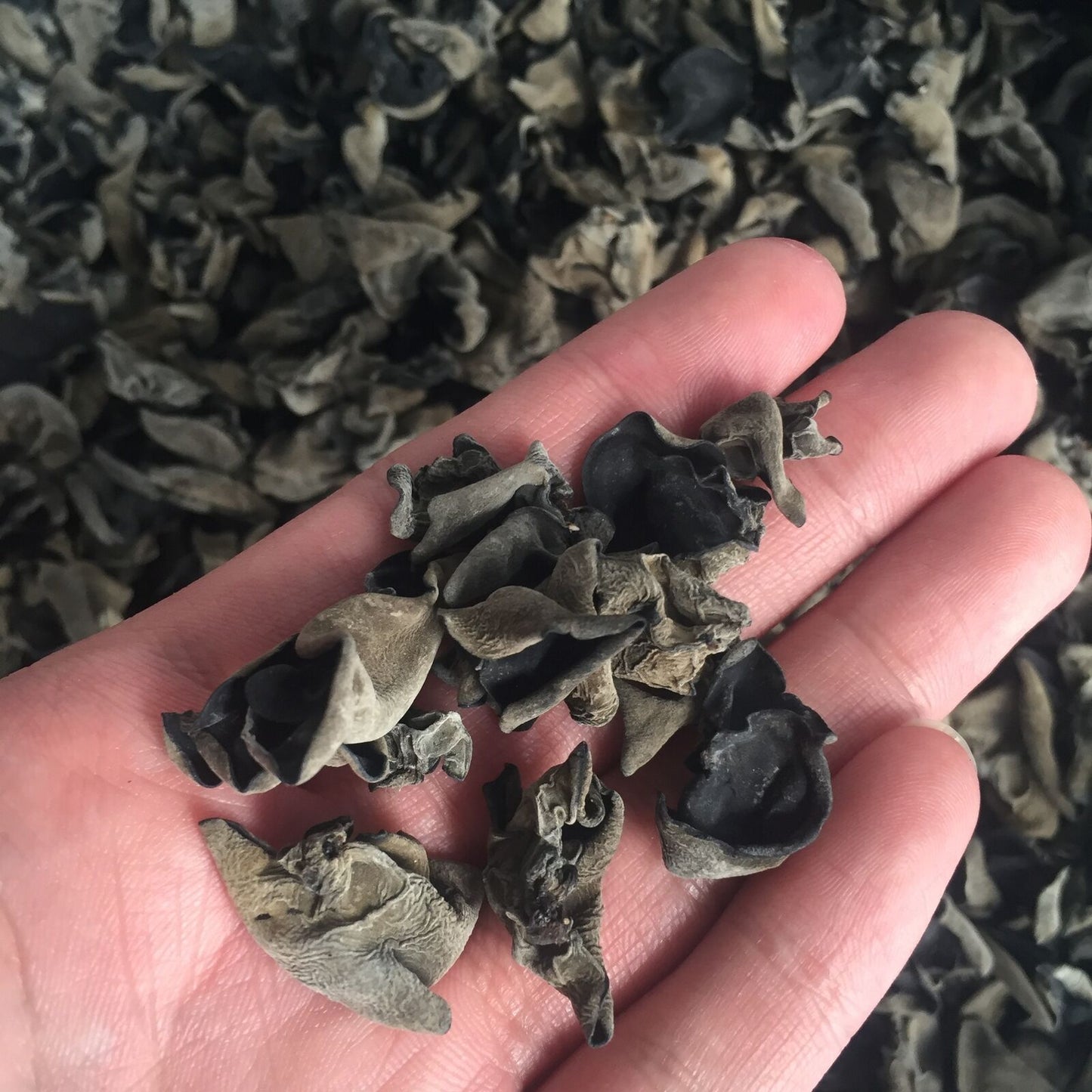 250g Northeast Dry Black Fungus Autumn In Bulk Fungus Thick No Sand Chinese Tea