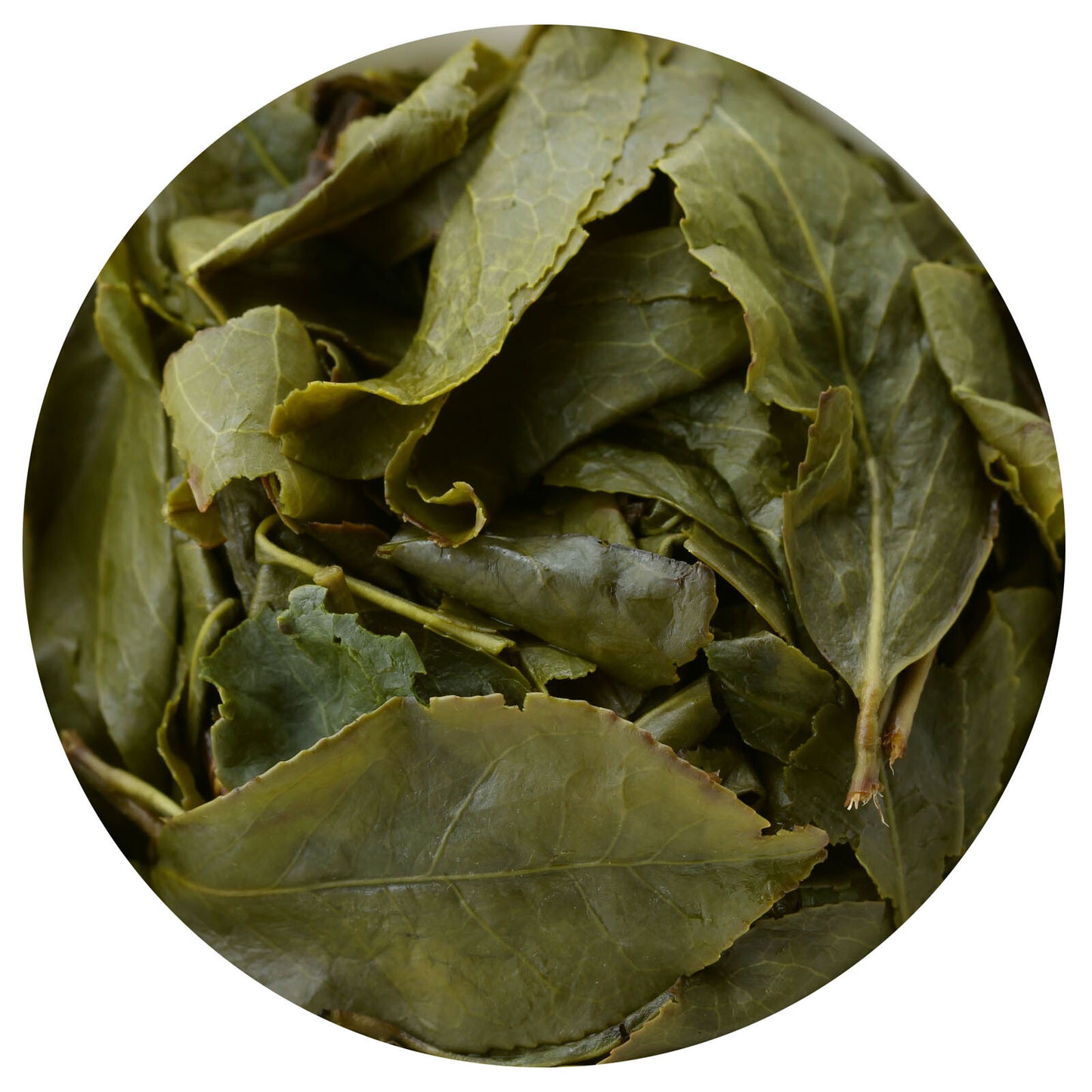 GOARTEA Premium Tie Guan Yin Oolong Tea Strong Aroma Fujian Iron Goddess Tea-
