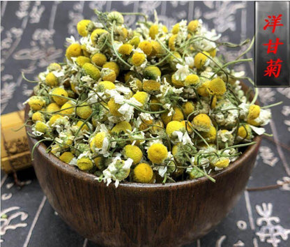 Premium Quality China Fresh Chamomile Tea Blooming Flower Tea Yellow Herbal Tea
