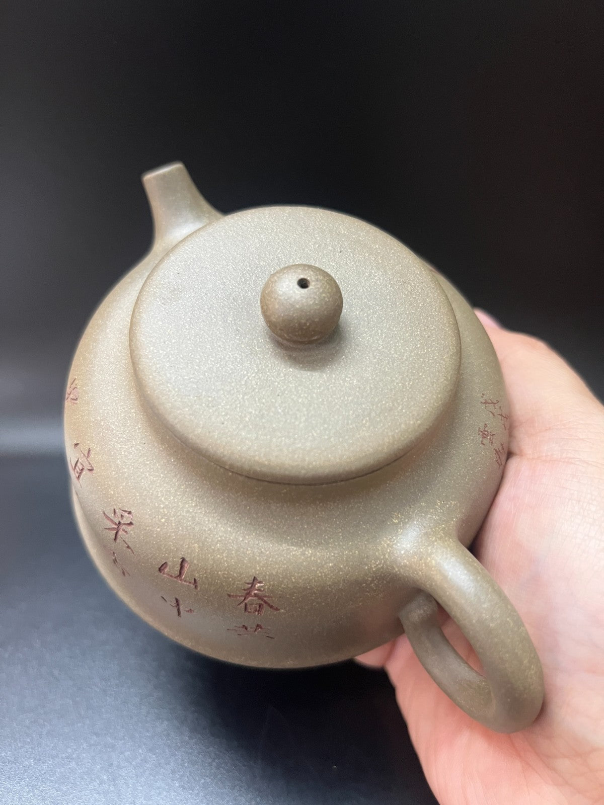 250cc chinese Yixing Handmade Zisha Duan clay Teapot TanRan Hu Tea Pot