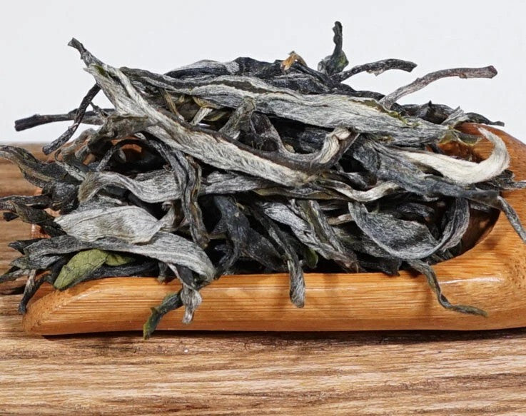500g YunNan LinChang XiGui Ancient Tree Raw Spring pu er tea puerh tea