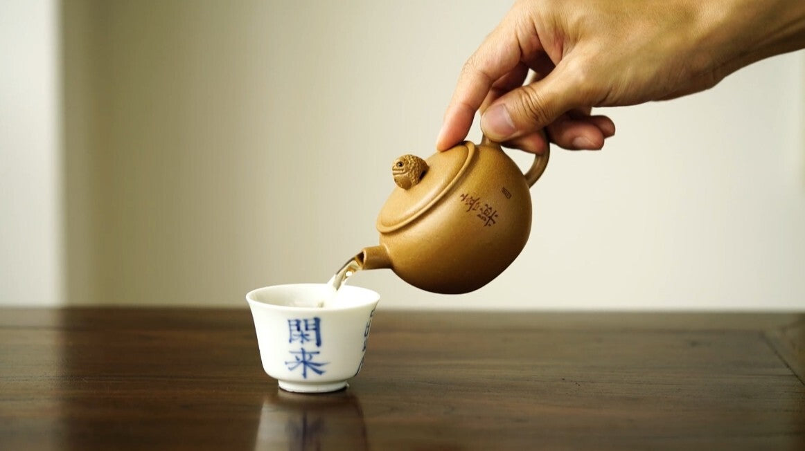 170cc chinese Yixing Handmade Zisha teapot Duan Clay XiLe Gongfu Hu Tea Pot
