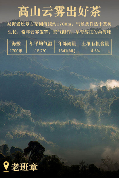 Lao Banzhang Ancient Tree Tea Leaves 357g Yunnan Aged Ripe Pu Pu'er Ripe Tea